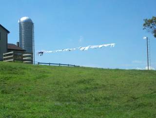 Laundry line