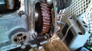 Chewed up timing gear